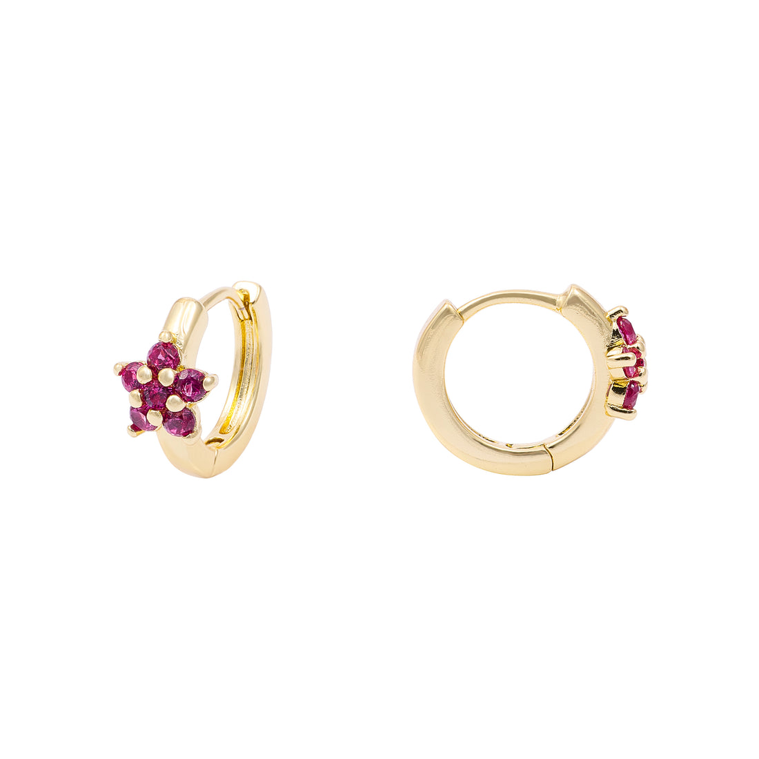 Argollas Flora